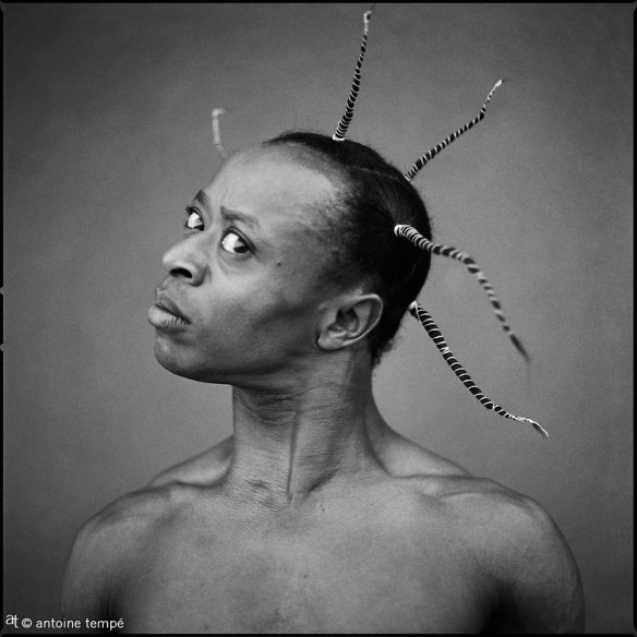 Berlin Blériot Nyakam