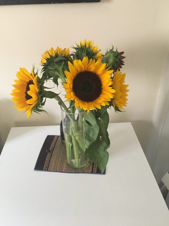 21125567_10159342245675284_1119792525957514212_o